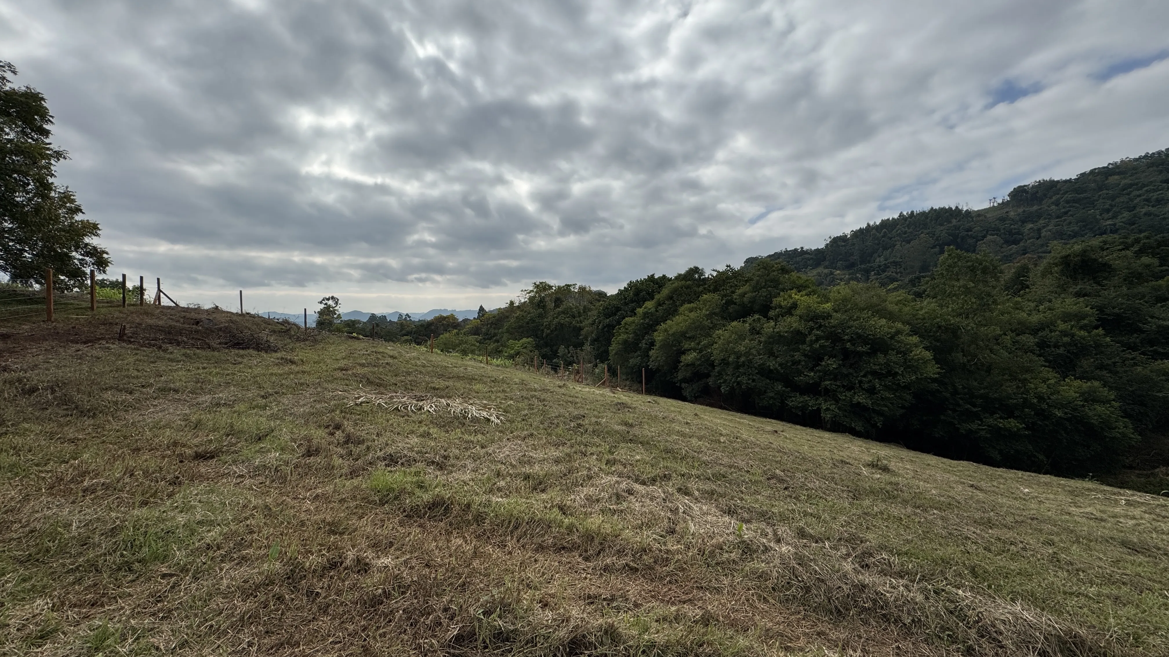 Área de terra com riacho à venda em Morro Reuter-RS