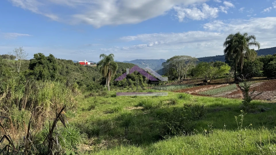 Imagens do imóveis Amplo terreno com vista à venda em Picada Café na Serra Gaúcha