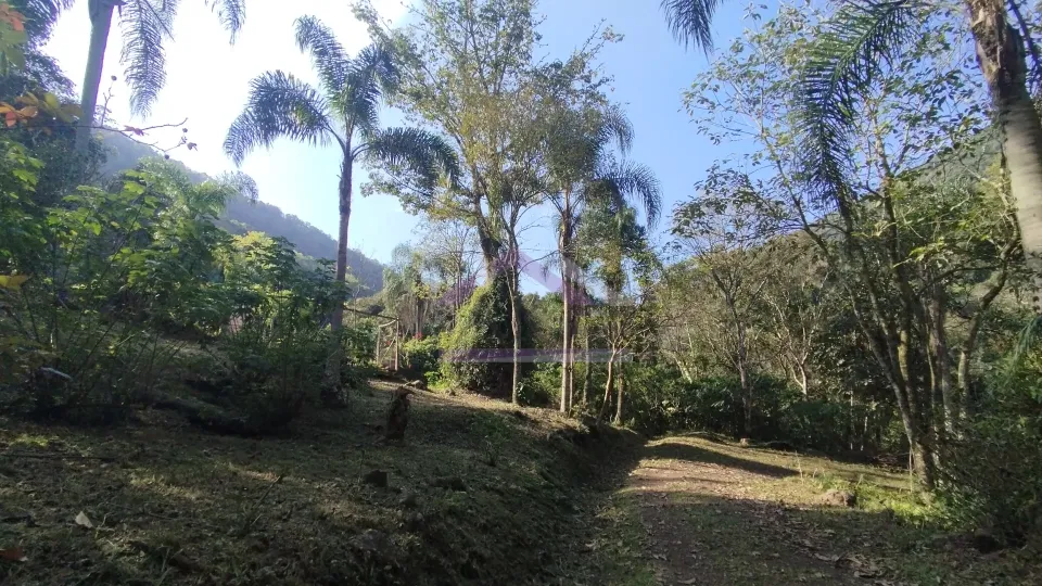 Sítio com riacho e casa enxaimel à venda em Picada Café na Serra Gaúcha