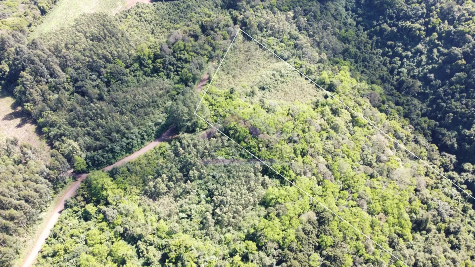 Imagens do imóveis Área de terra com vista à venda em Picada Café na Serra Gaúcha