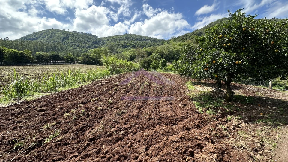 Sítio com riacho e casa enxaimel à venda em Picada Café na Serra Gaúcha