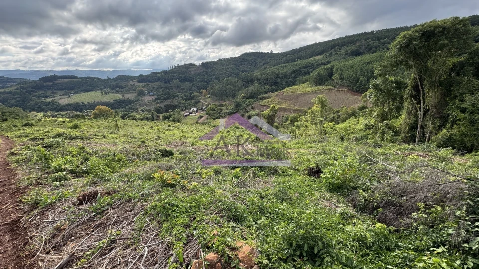 Fazenda/Sítios/Chácaras À Venda Recanto Das Flores Morro Reuter