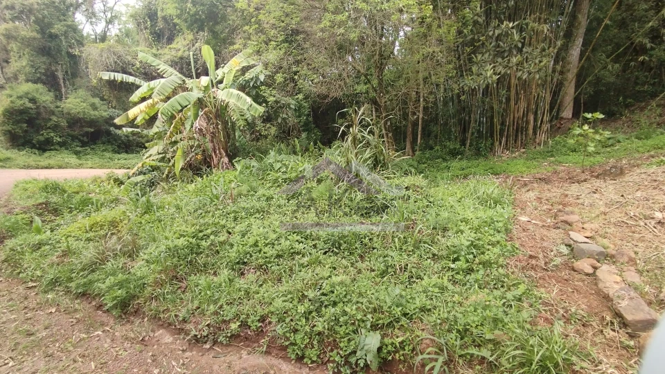Sítio com duas casas à venda em Picada Café na Serra Gaúcha
