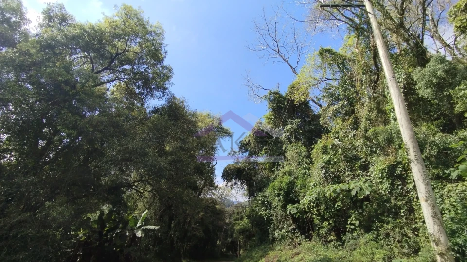 Imagens do imóveis Área de terra com vista panorâmica à venda próxima ao centro de Picada Café na Serra Gaúcha