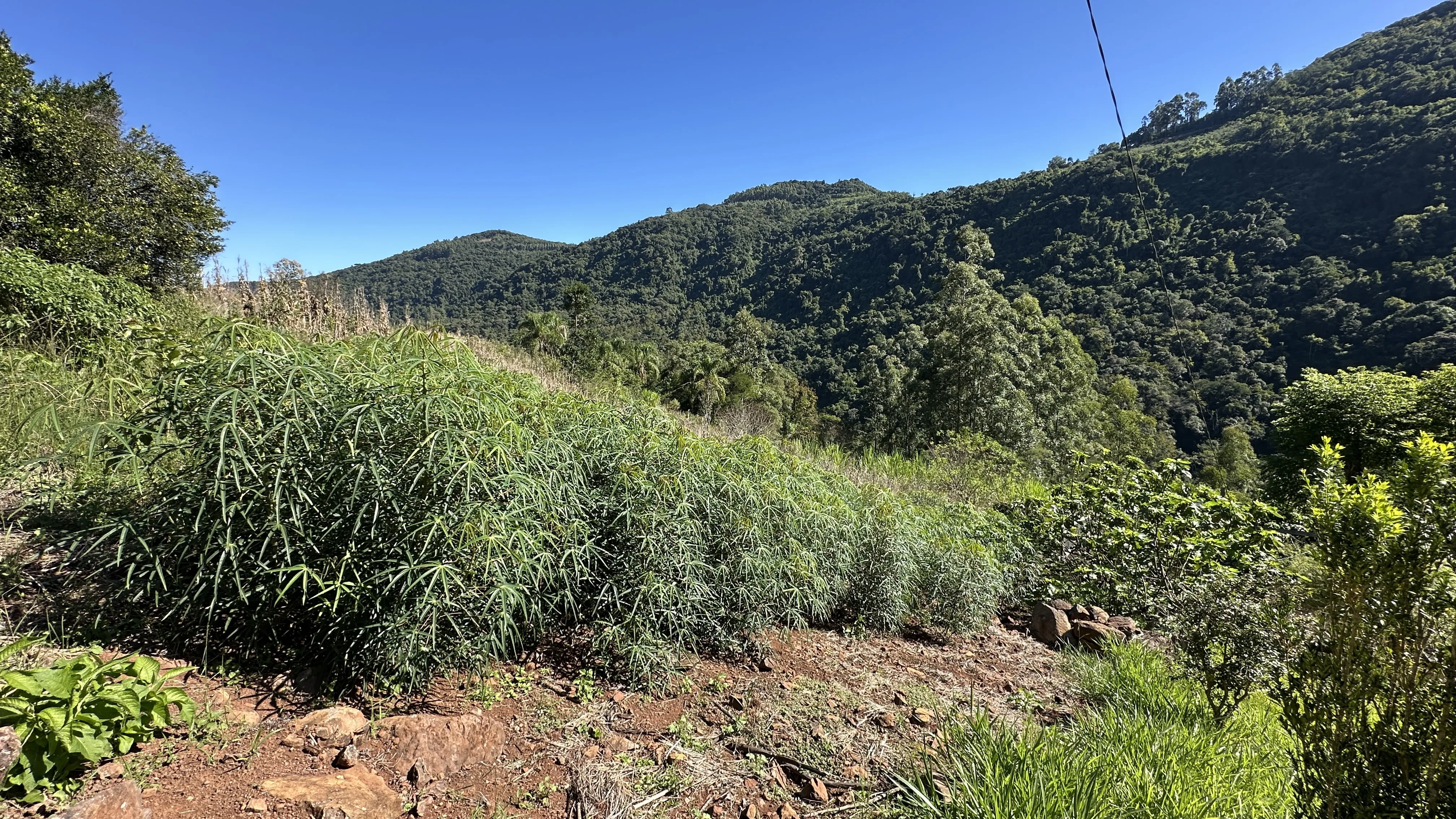 Área de terras com fundos para riacho à venda em Picada Café na Serra Gaúcha