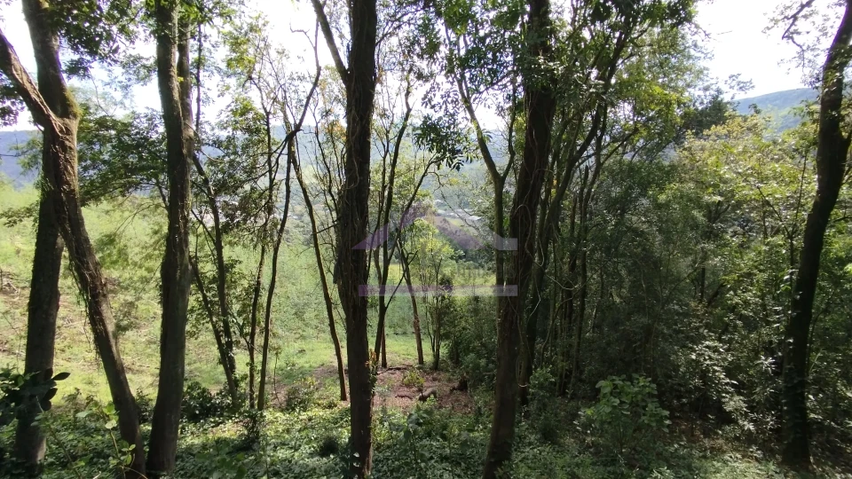 Imagens do imóveis Área de terra com vista panorâmica à venda próxima ao centro de Picada Café na Serra Gaúcha