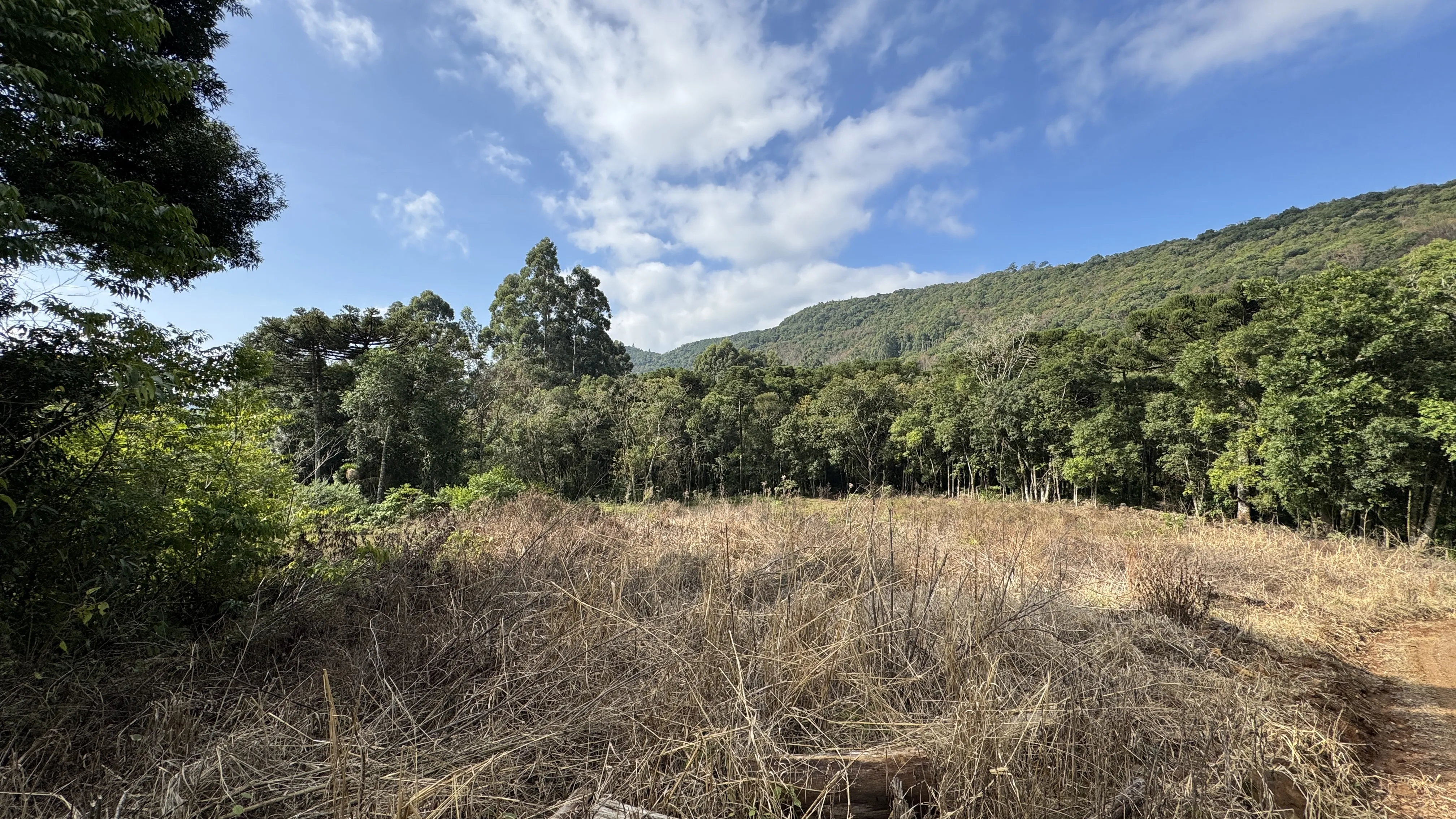 Área de terra com açudes e riacho à venda em Morro Reuter-RS