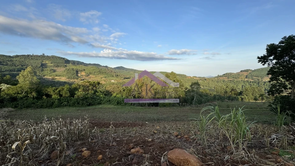 Imagens do imóveis Área de terra com vista panorâmica à venda em Picada Café na Serra Gaúcha