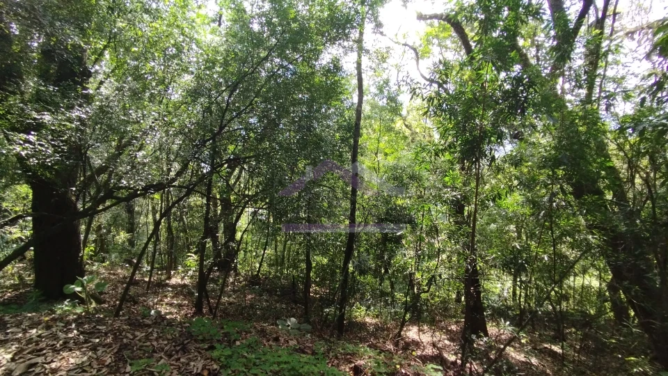 Imagens do imóveis Área de terra com vista panorâmica à venda próxima ao centro de Picada Café na Serra Gaúcha