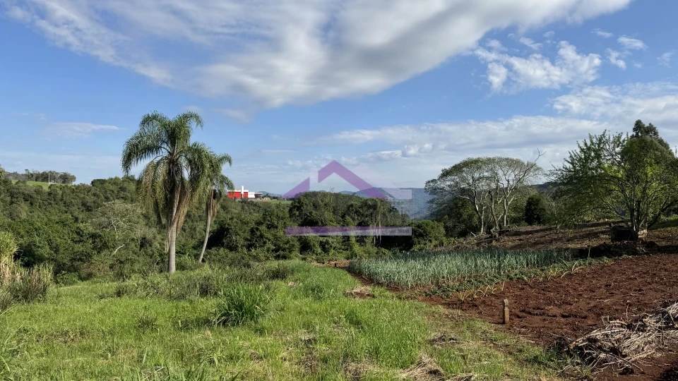 Imagens do imóveis Amplo terreno com vista à venda em Picada Café na Serra Gaúcha
