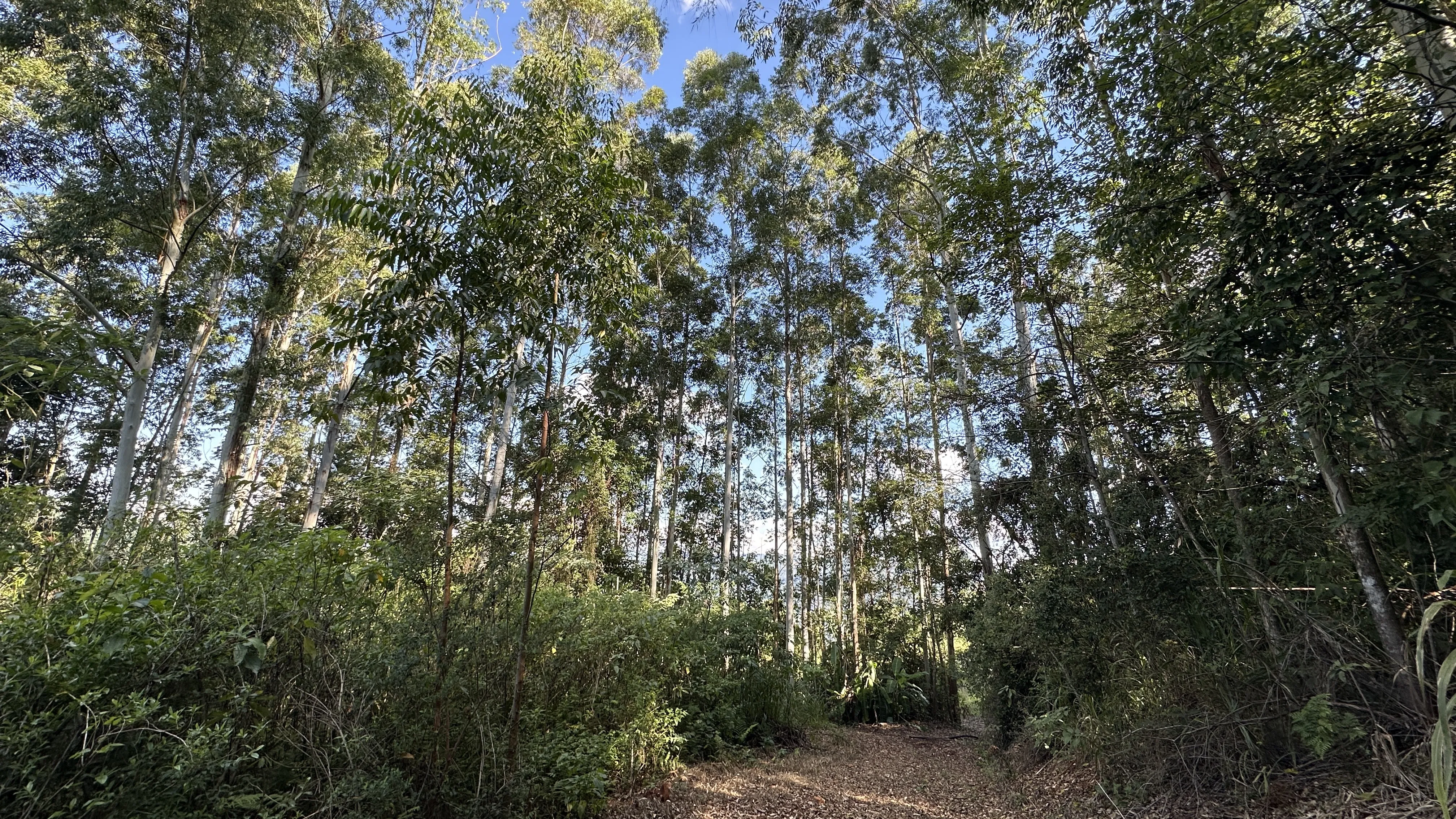 Área de terra com vista à venda em Nova Petrópolis na Serra Gaúcha