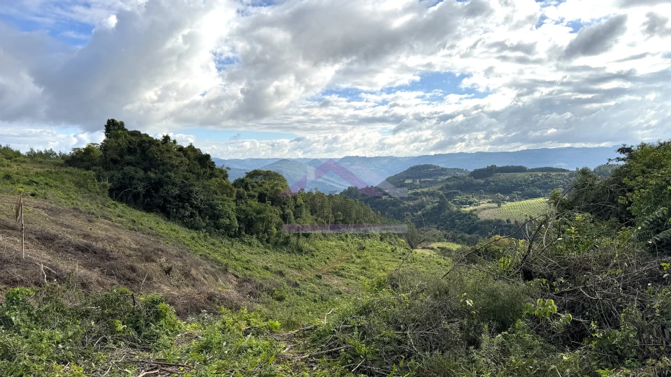 Área de terra com vista e vertente à venda em Morro Reuter-RS