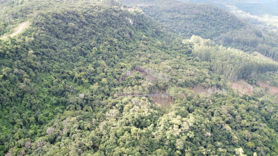 Área de terra com potencial de vista à venda em Picada Café na Serra Gaúcha