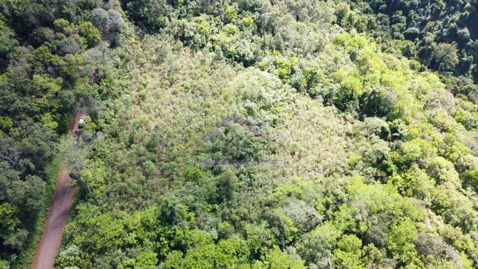 Imagens do imóveis Área de terra com vista à venda em Picada Café na Serra Gaúcha