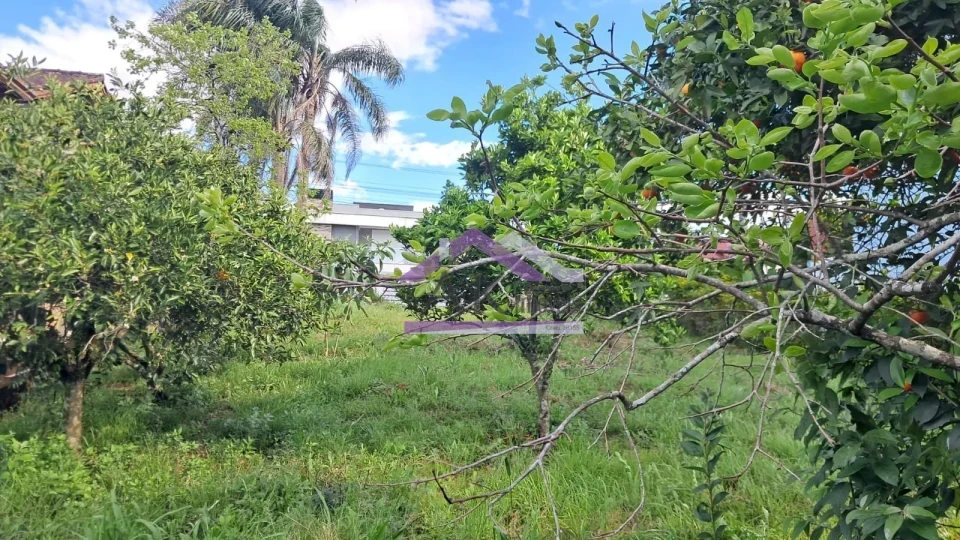 Excelente terreno com vista à venda na cidade de Ivoti