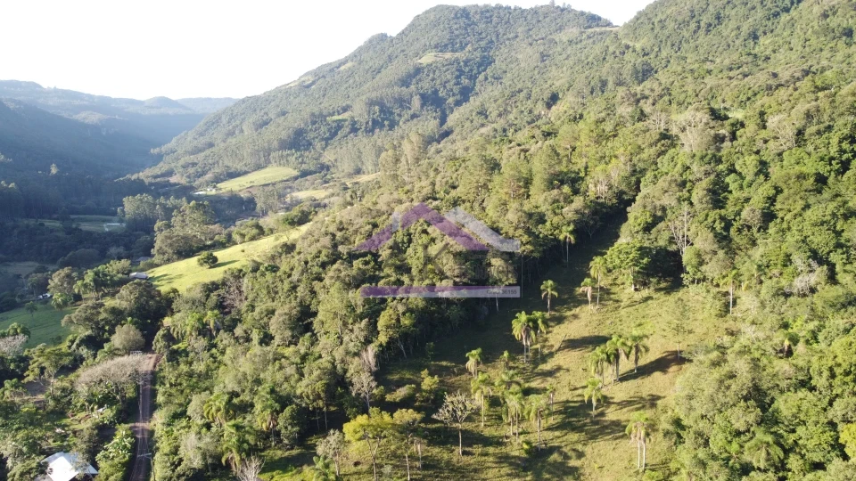 Imagens do imóveis Área de terra à venda em Picada Café na Serra Gaúcha