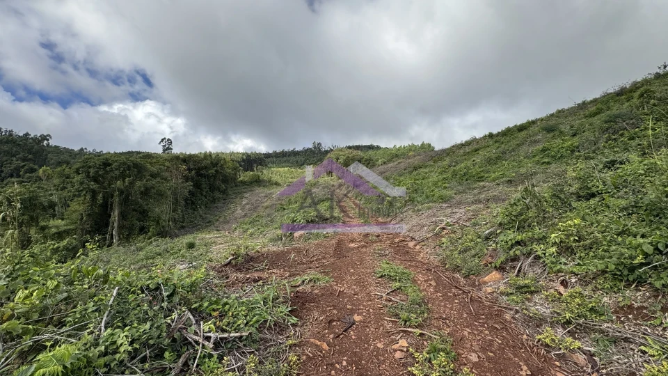 Fazenda/Sítios/Chácaras À Venda Recanto Das Flores Morro Reuter