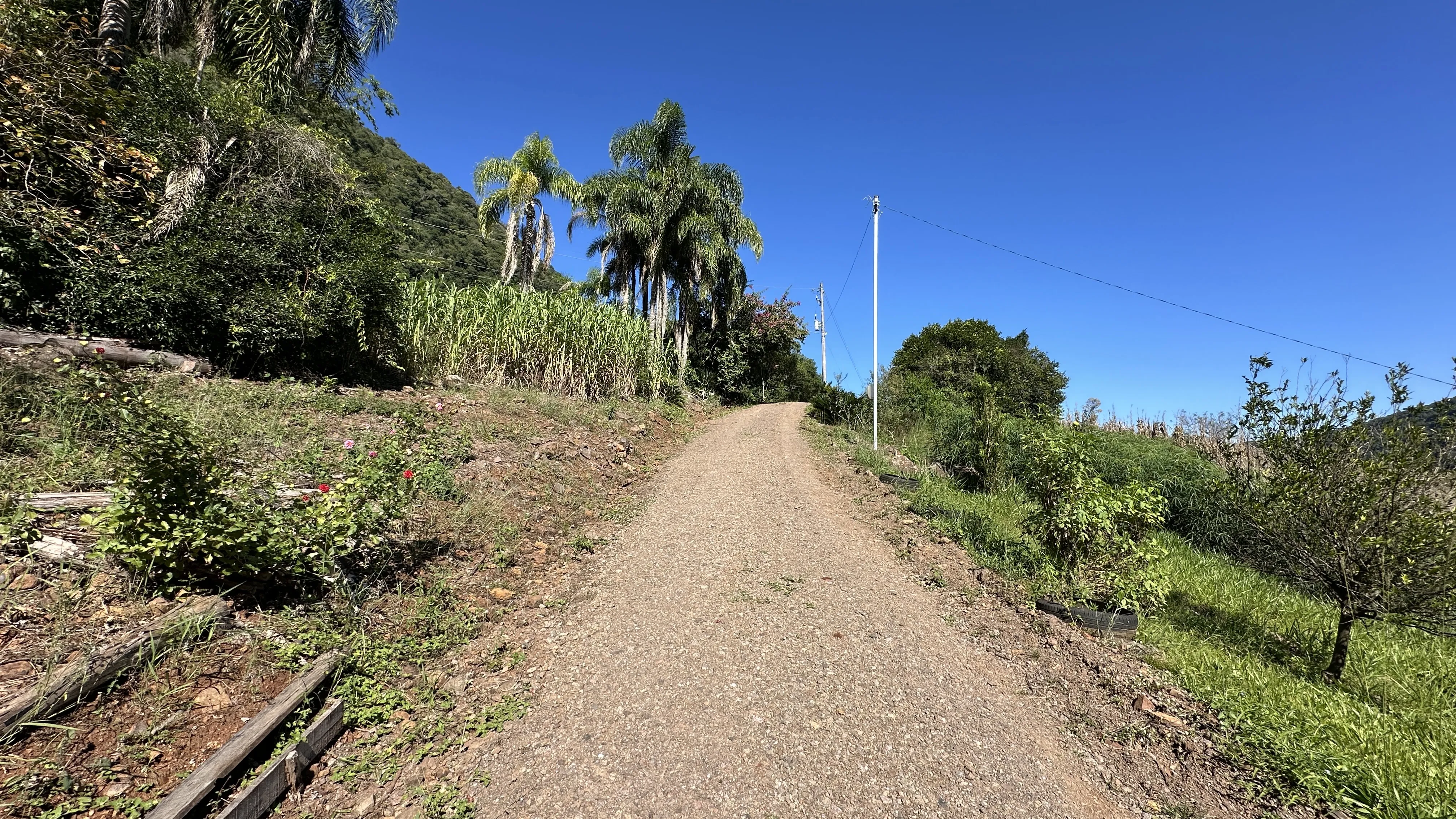 Área de terras com fundos para riacho à venda em Picada Café na Serra Gaúcha