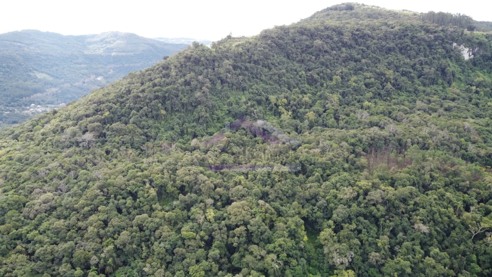 Área de terra com potencial de vista à venda em Picada Café na Serra Gaúcha