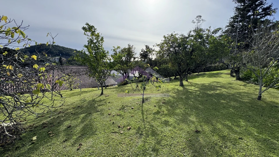 Amplo terreno à venda em Nova Petrópolis na Serra Gaúcha
