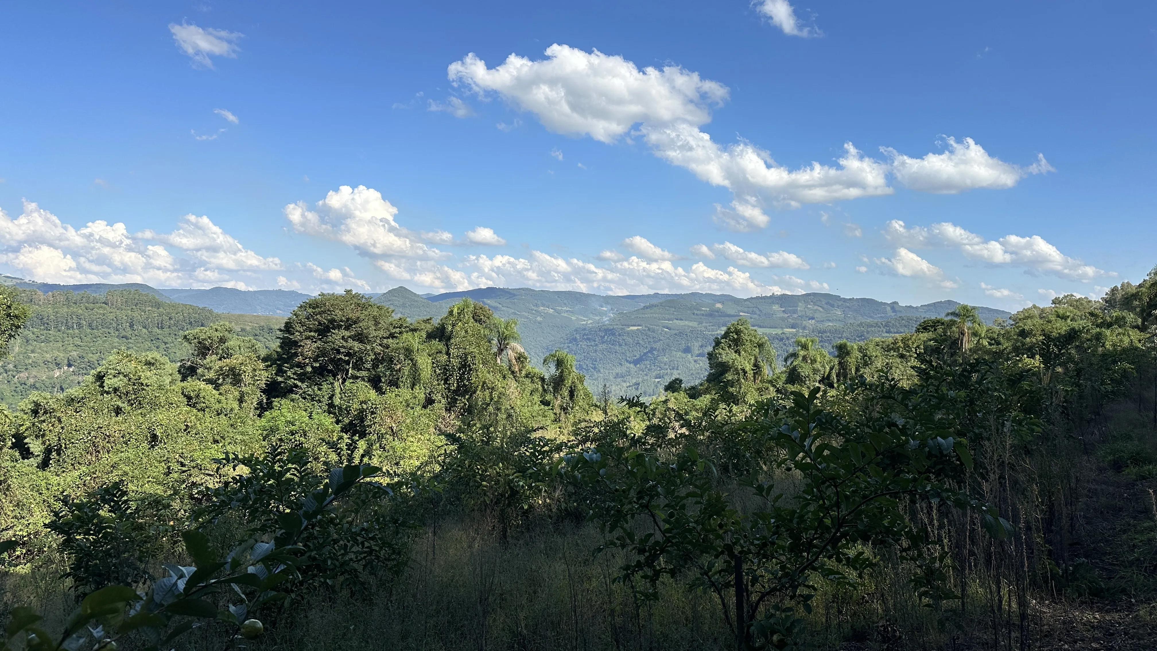 Área de terra com vista à venda em Nova Petrópolis na Serra Gaúcha