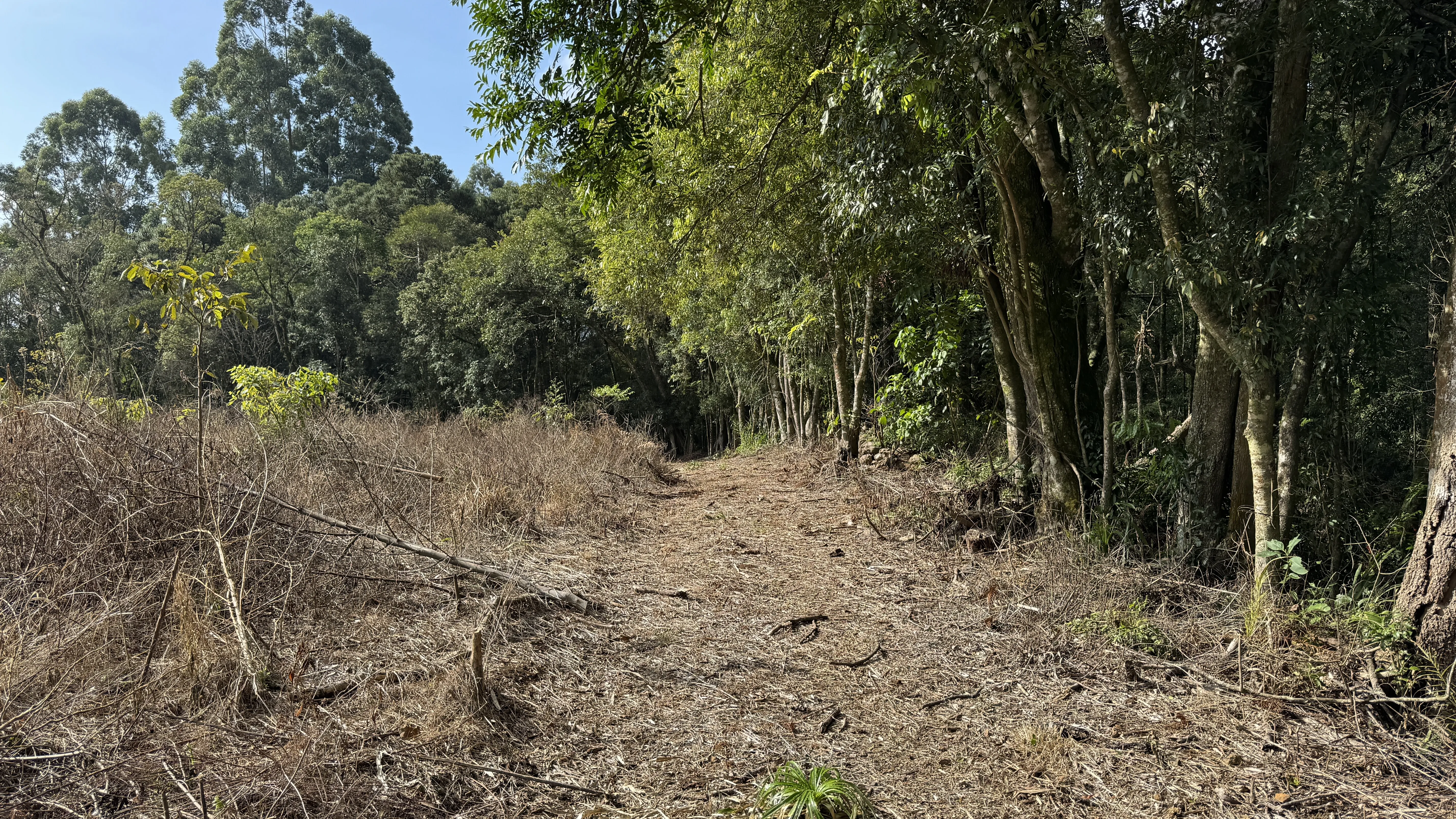 Área de terra com açudes e riacho à venda em Morro Reuter-RS