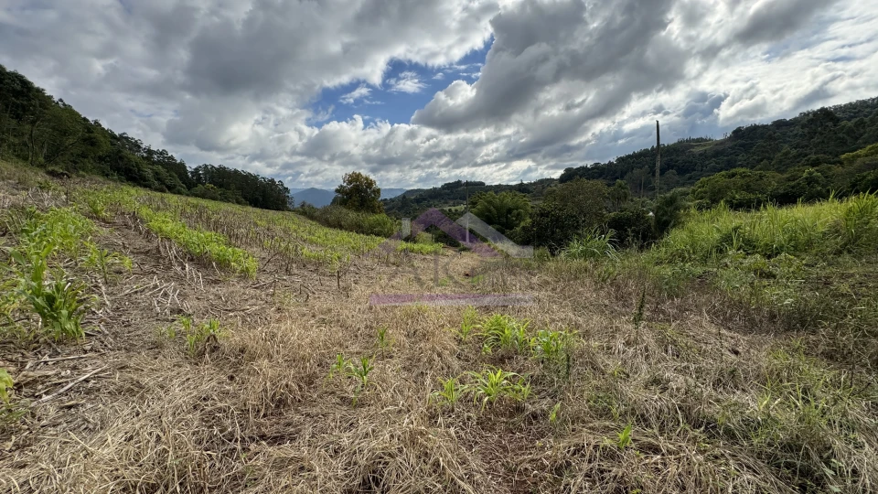 Área de terra com vista e vertente à venda em Morro Reuter-RS