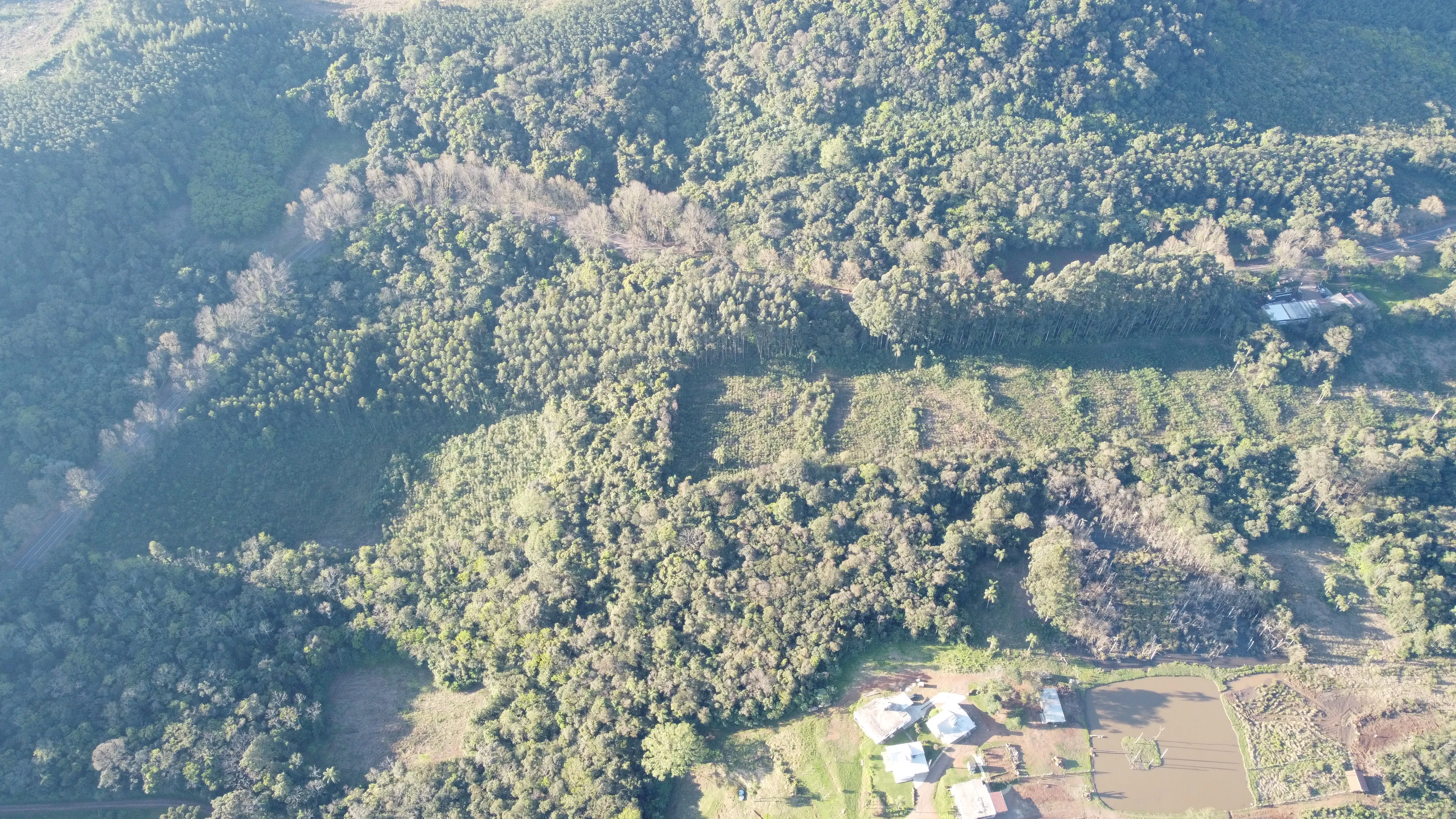 Área de terras com duas frentes para a BR 116 à venda em Picada Café na Serra Gaúcha