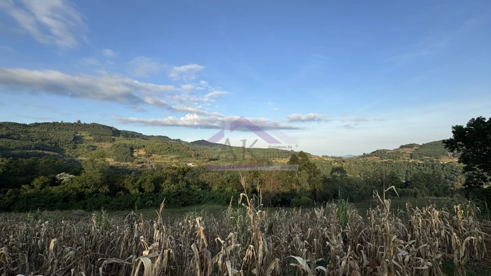 Imagens do imóveis Área de terra com vista panorâmica à venda em Picada Café na Serra Gaúcha