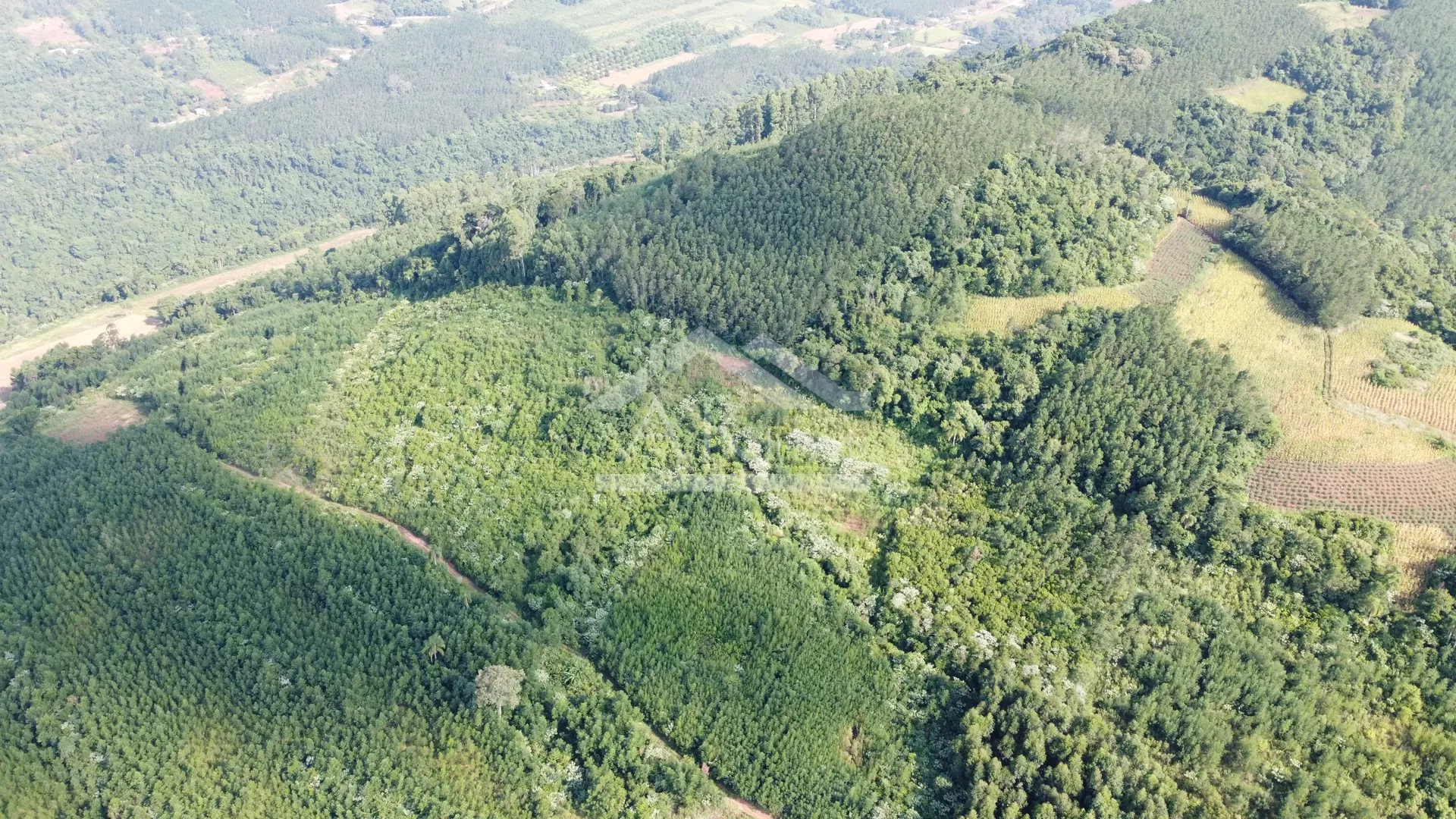 Áreas de terra à venda em Picada Café na Serra Gaúcha