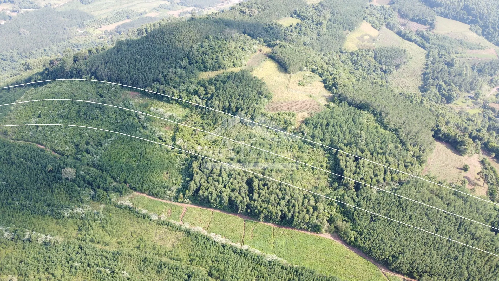 Áreas de terra à venda em Picada Café na Serra Gaúcha