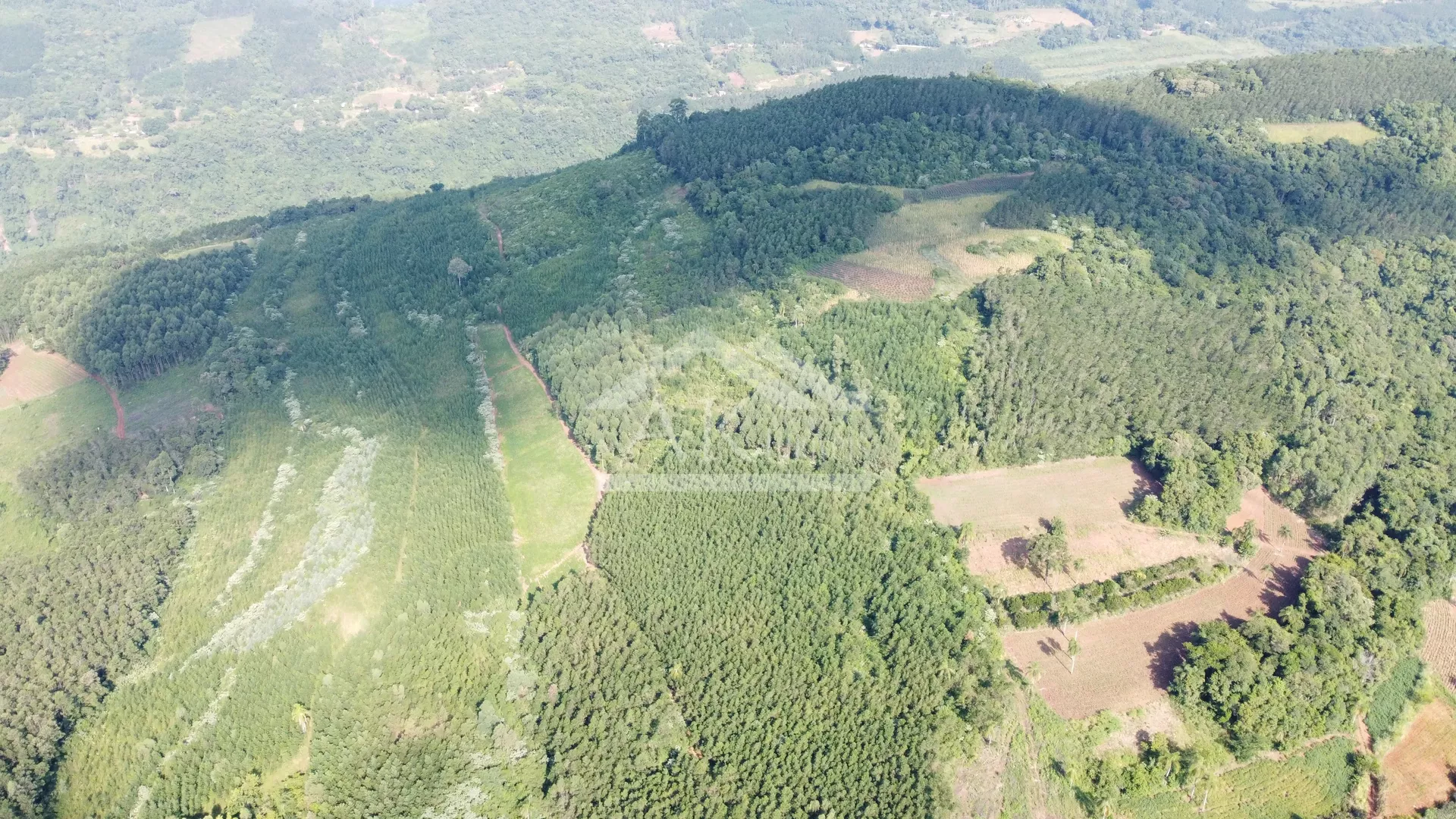Áreas de terra à venda em Picada Café na Serra Gaúcha