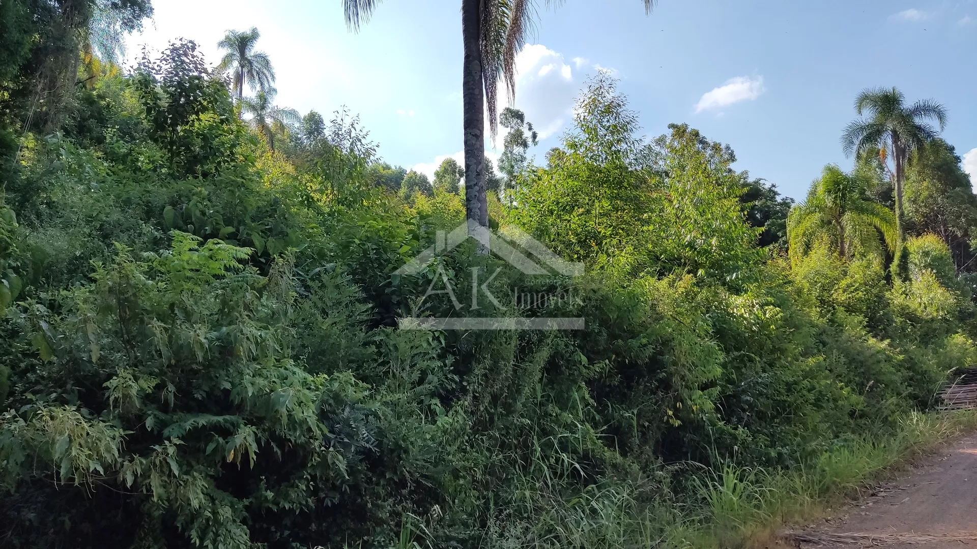 Áreas de terra à venda em Picada Café na Serra Gaúcha