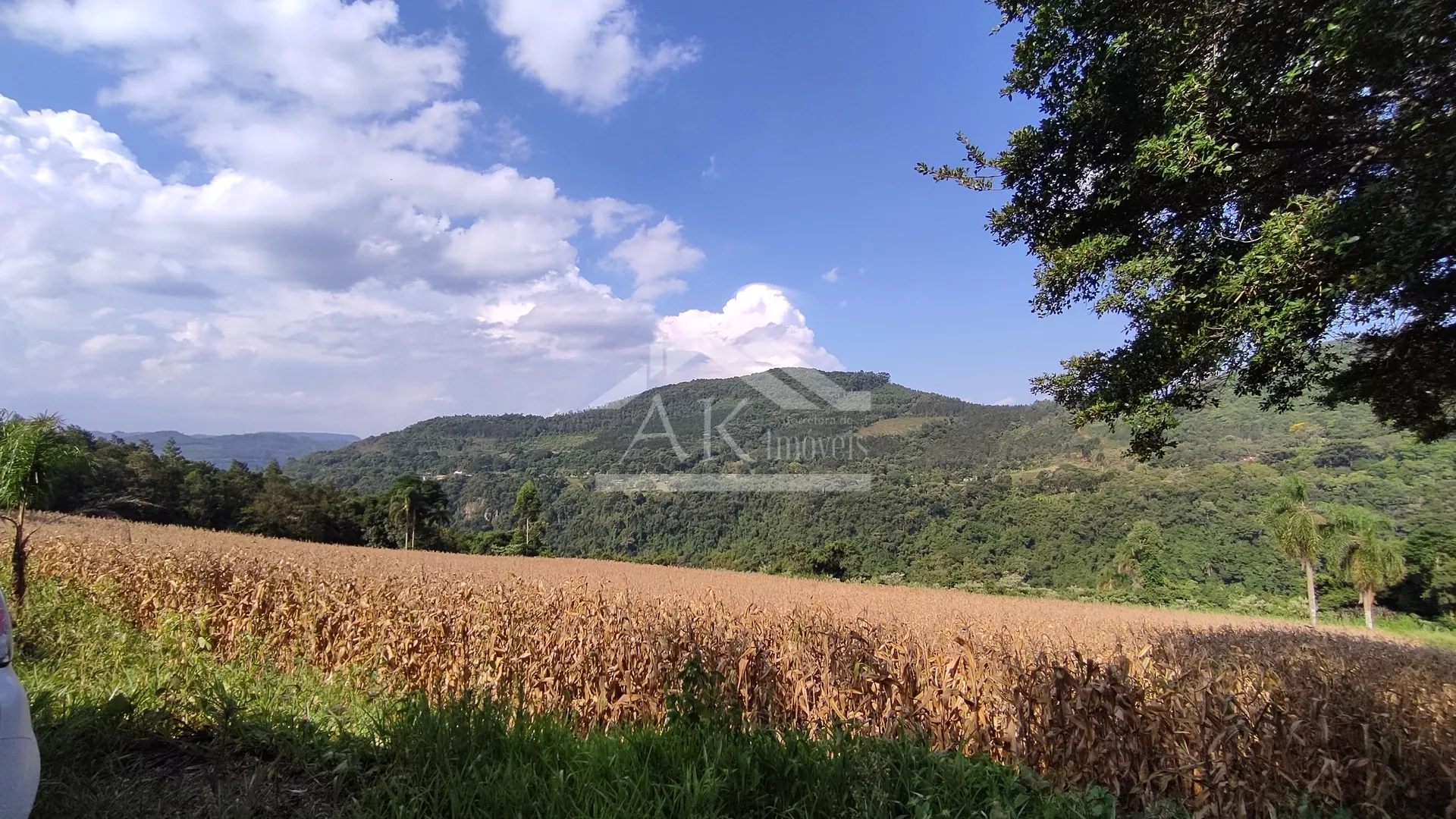 Áreas de terra à venda em Picada Café na Serra Gaúcha