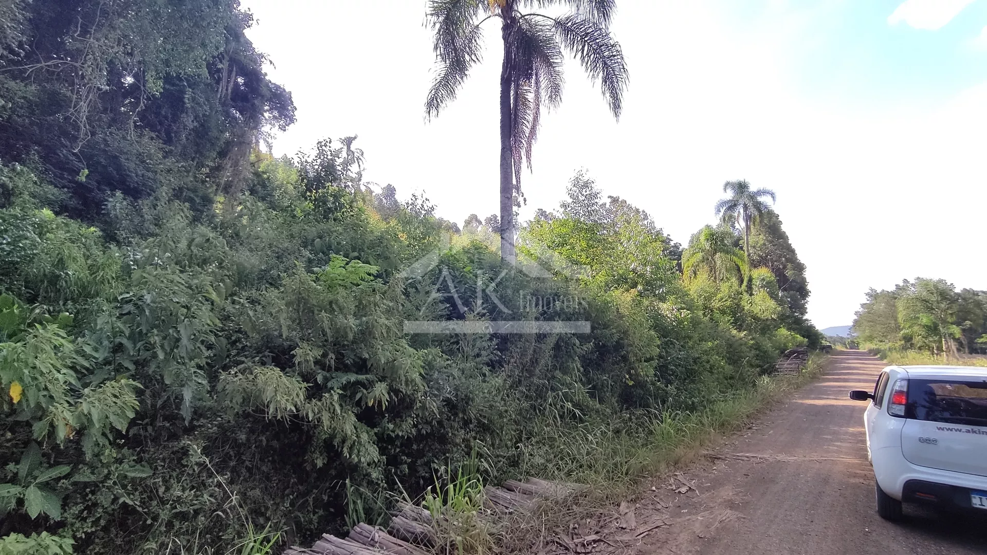 Áreas de terra à venda em Picada Café na Serra Gaúcha
