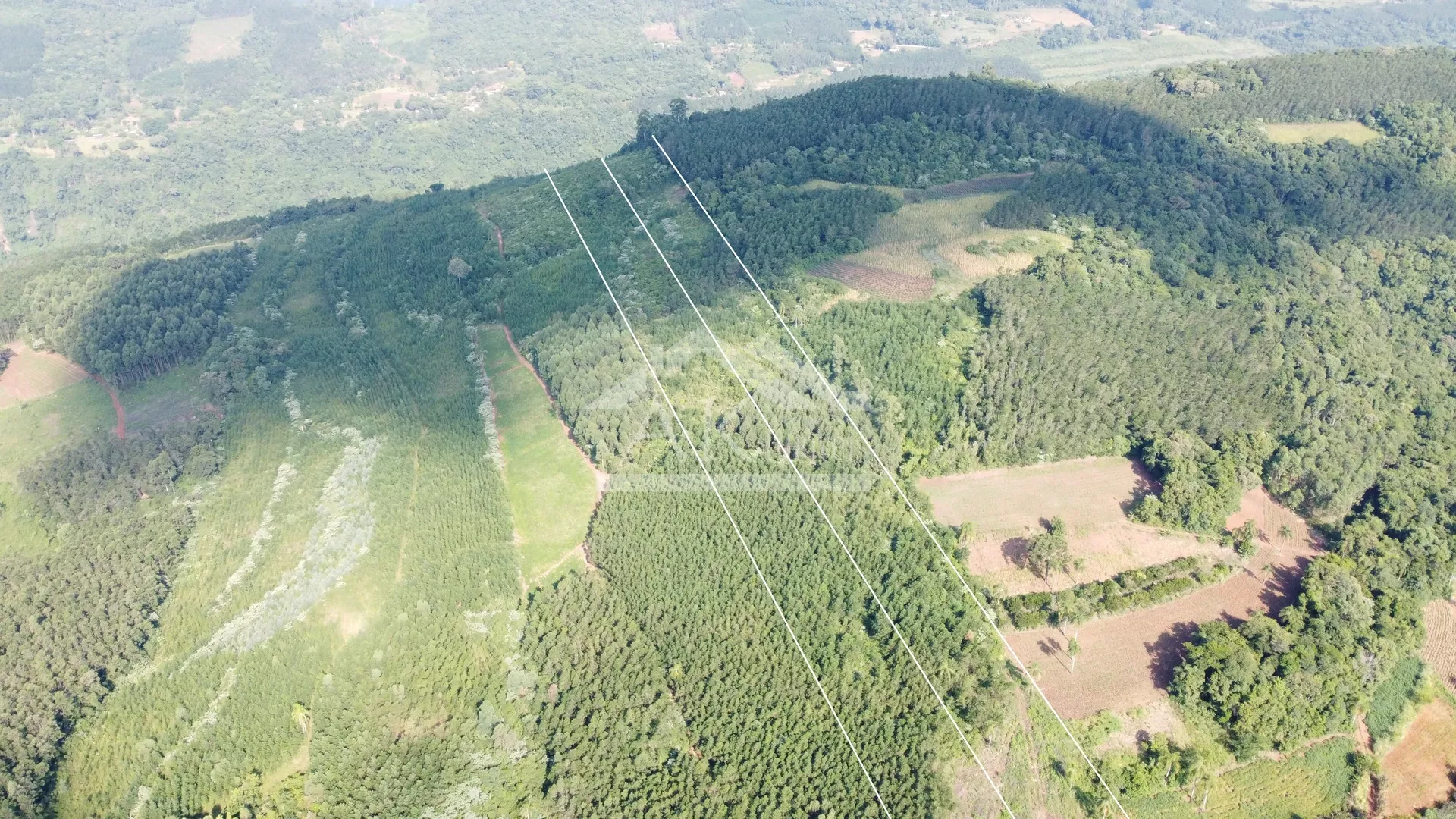 Áreas de terra à venda em Picada Café na Serra Gaúcha