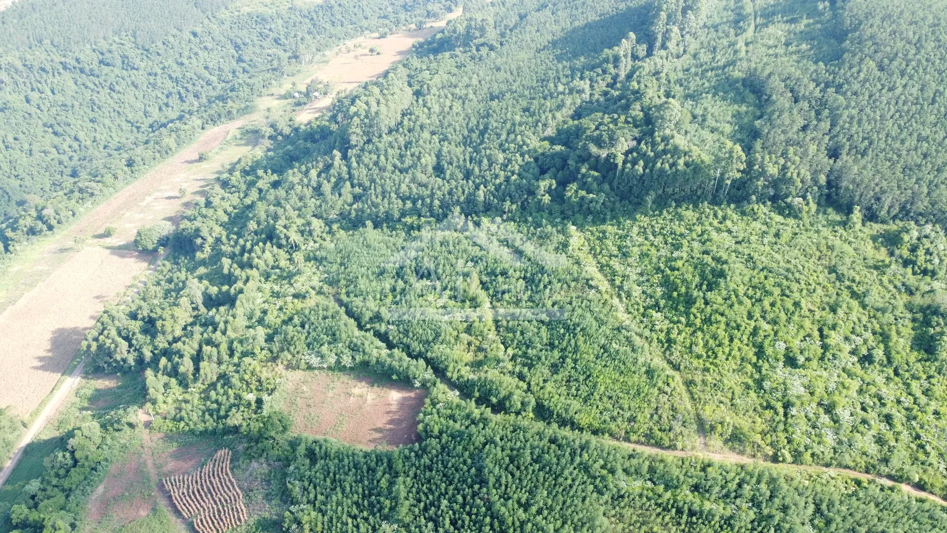 Áreas de terra à venda em Picada Café na Serra Gaúcha
