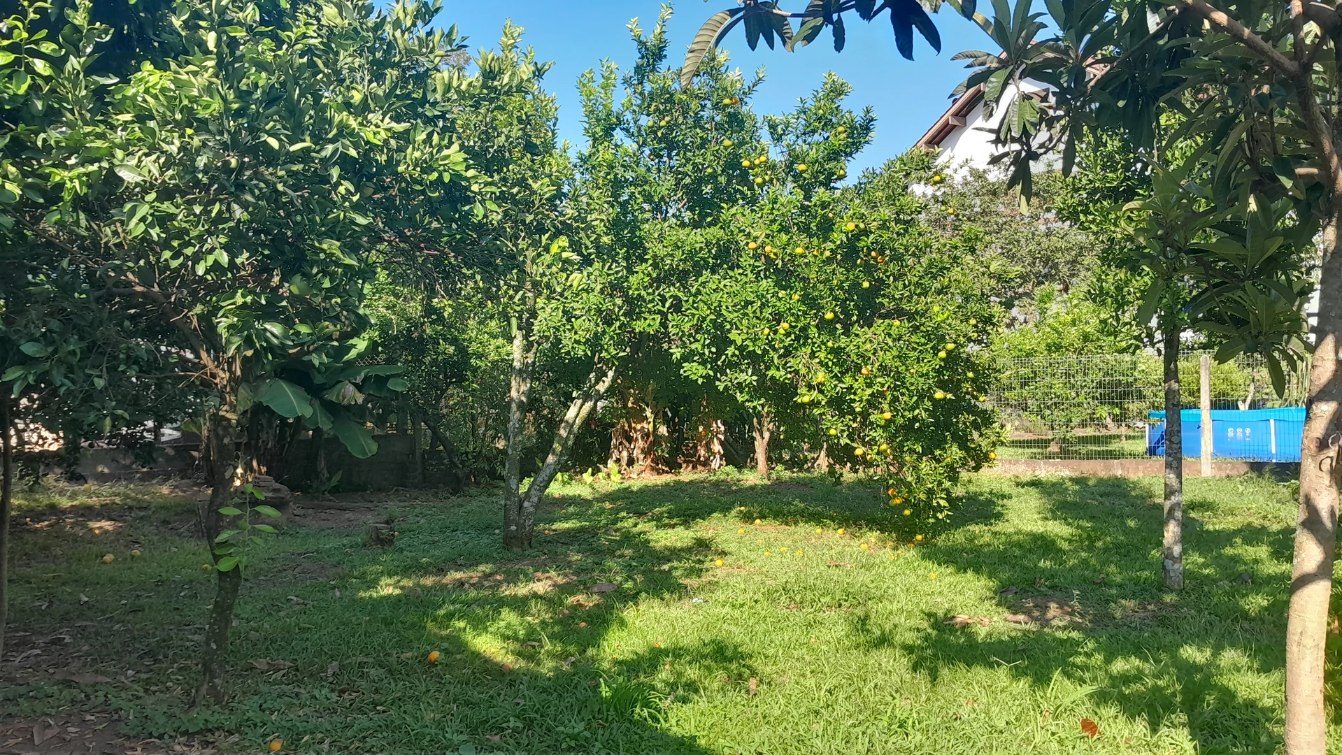 Casa com 3 quartos à venda em Picada Café, na Serra Gaúcha