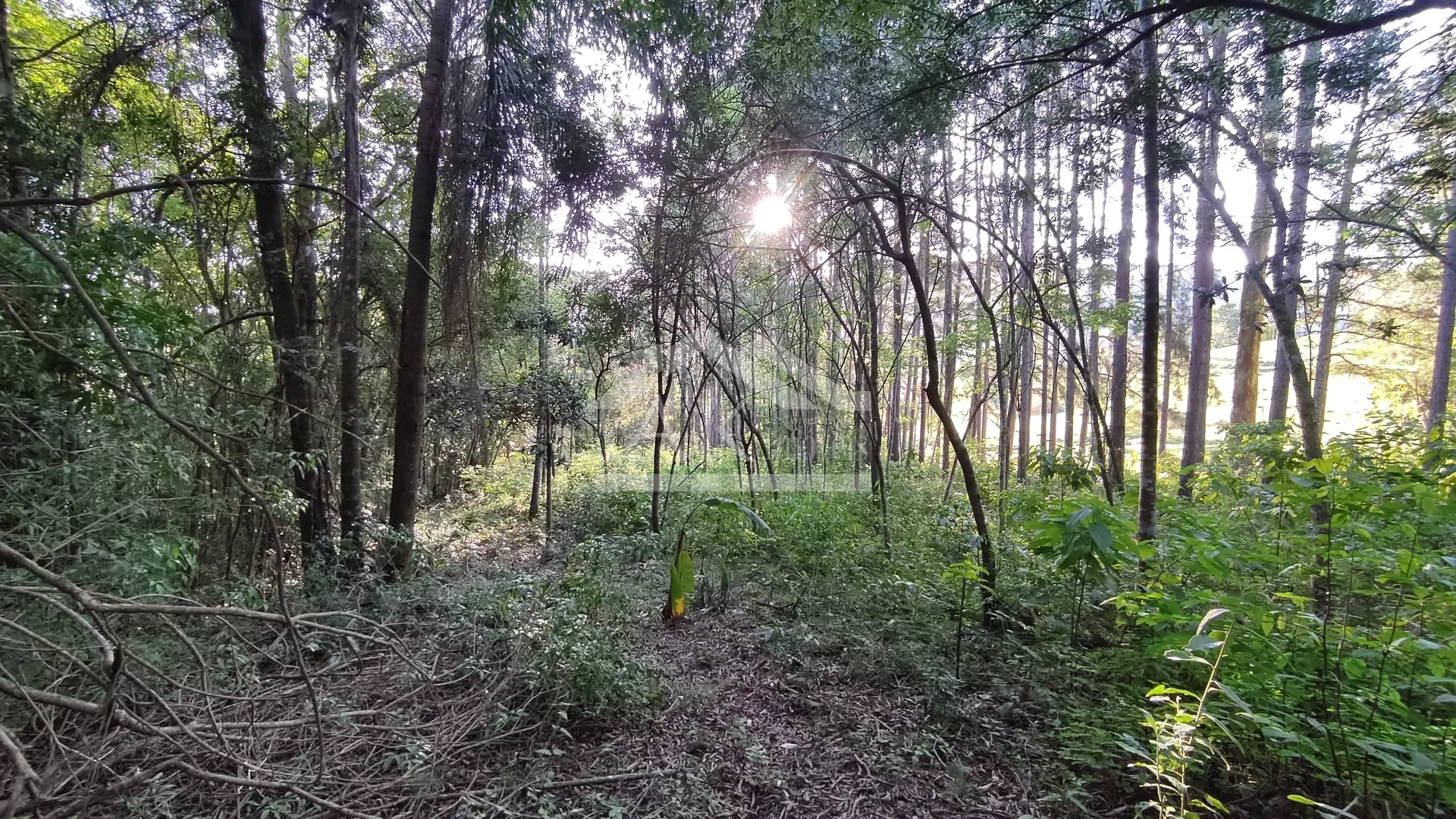 Excelente área comercial às margens da BR 116 em Picada Café na Serra Gaúcha