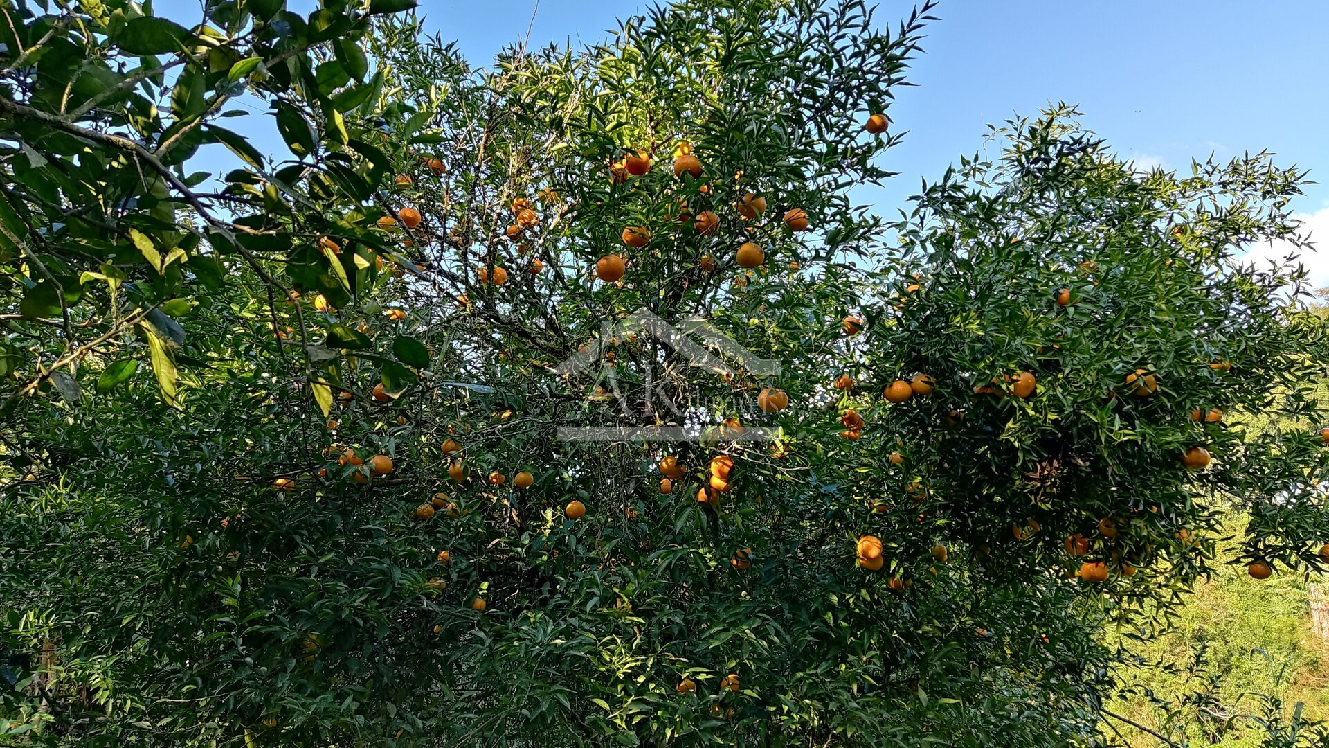 Amplo terreno a venda em Picada Café, na Serra Gaúcha
