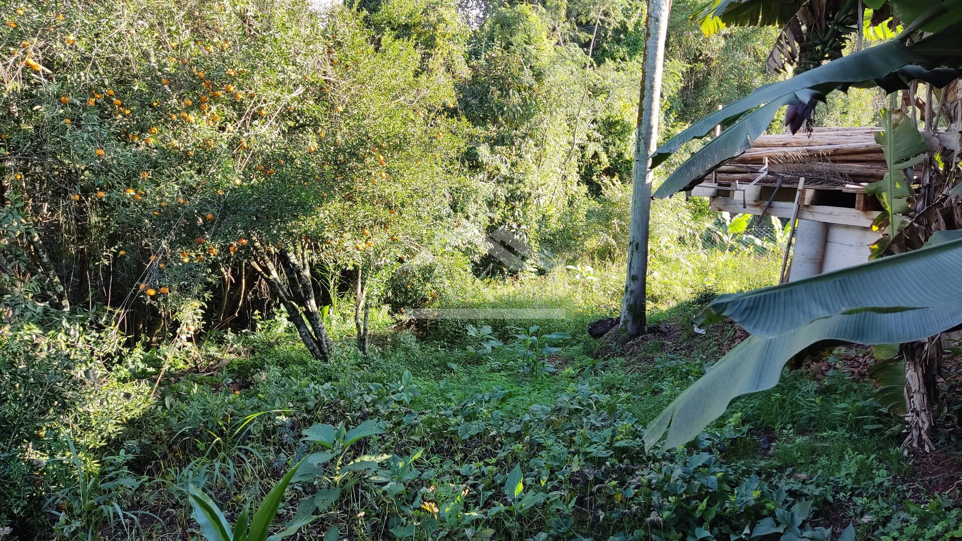 Amplo terreno a venda em Picada Café, na Serra Gaúcha
