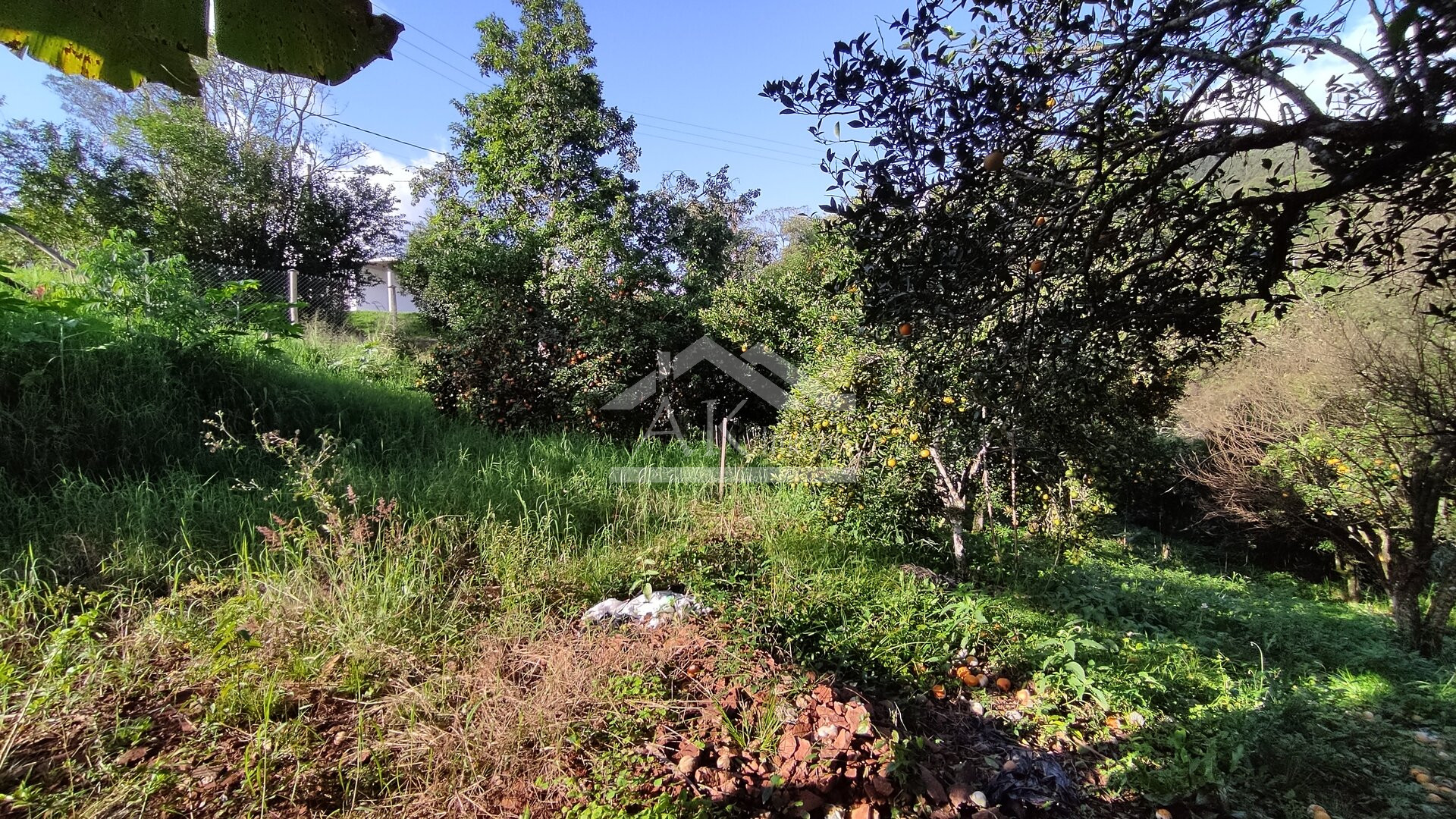Amplo terreno a venda em Picada Café, na Serra Gaúcha