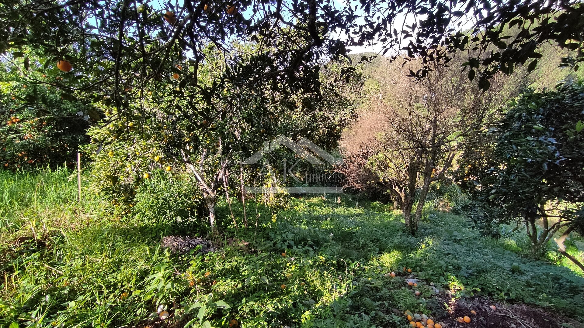 Amplo terreno a venda em Picada Café, na Serra Gaúcha
