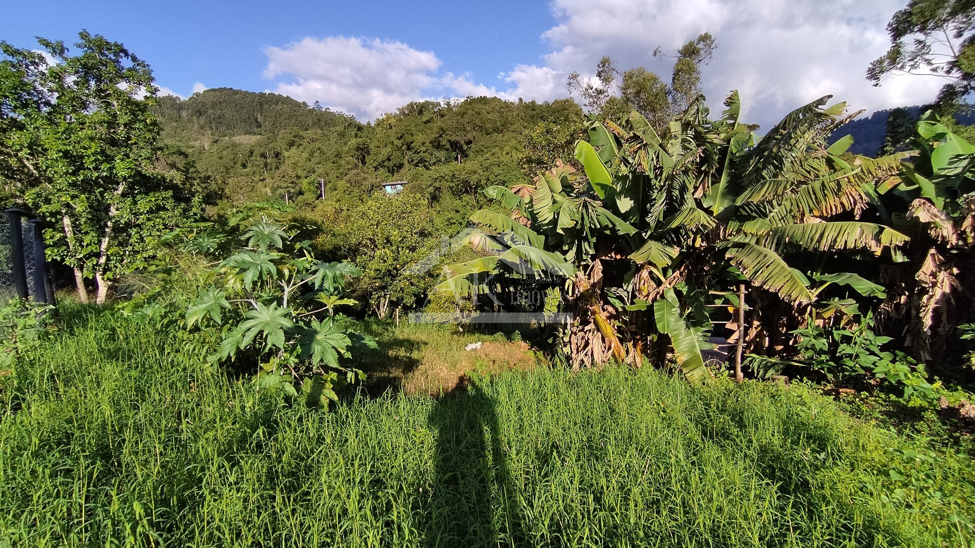 Amplo terreno a venda em Picada Café, na Serra Gaúcha