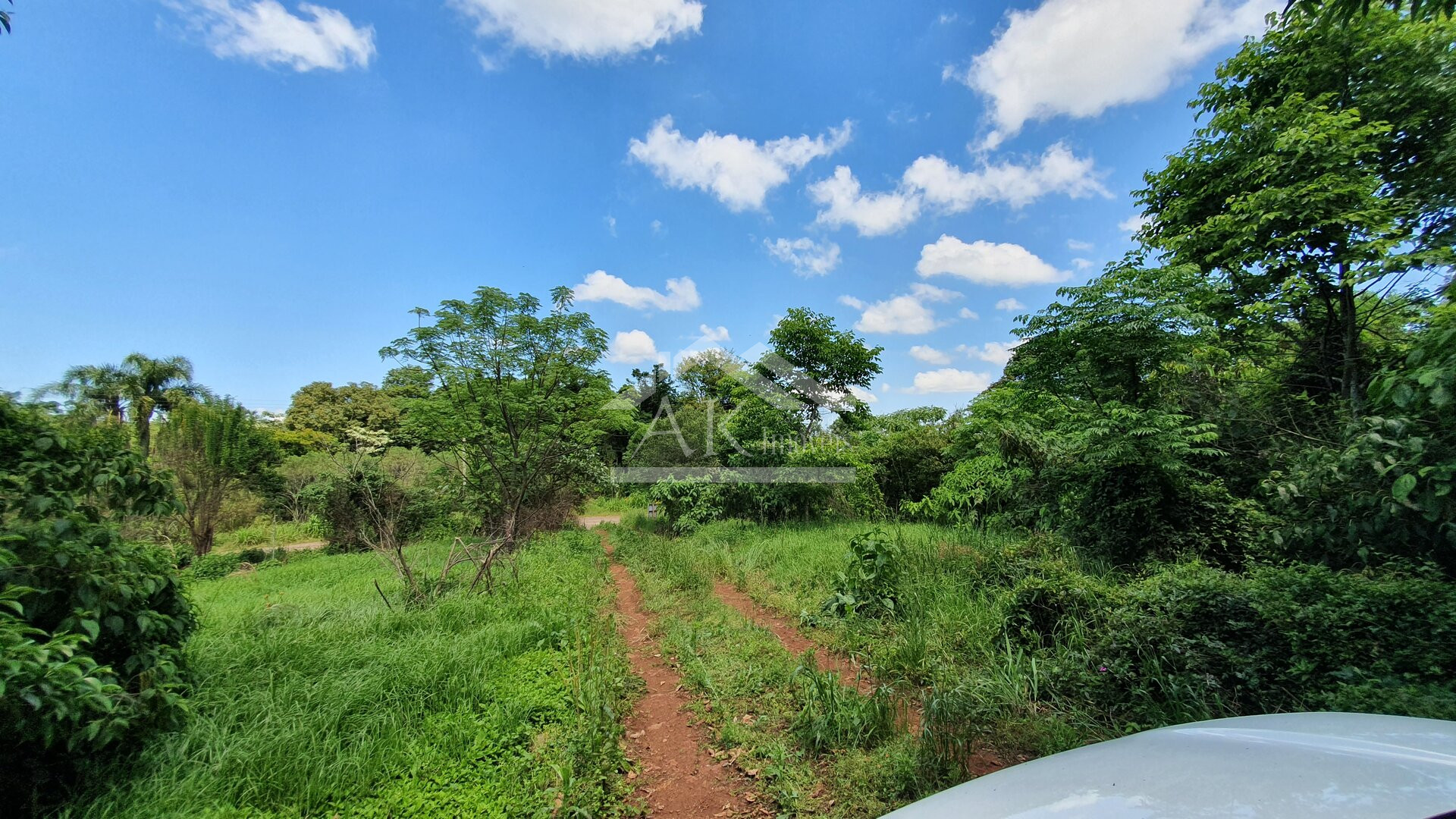 Área de terras com nascente e bela vista à venda em Linha Nova-RS
