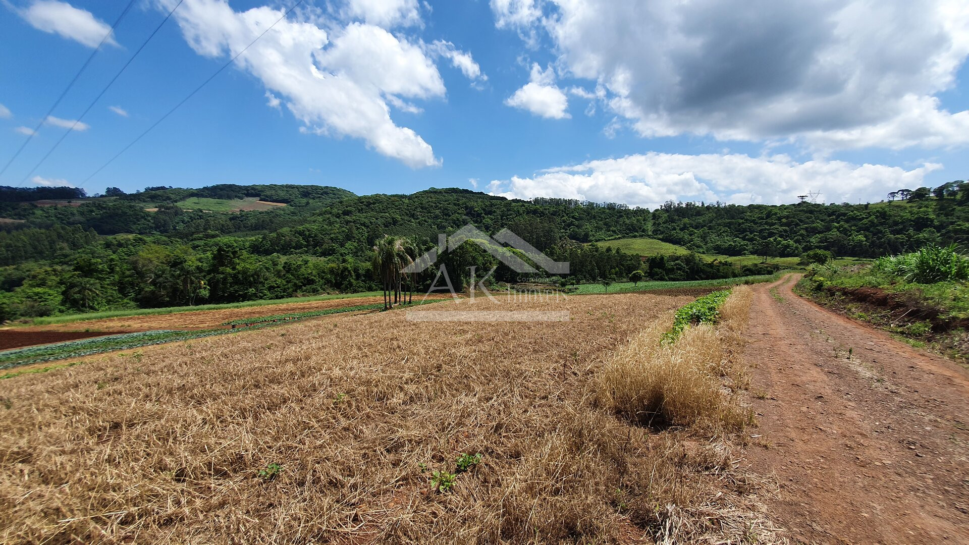 Área de terras com nascente e bela vista à venda em Linha Nova-RS