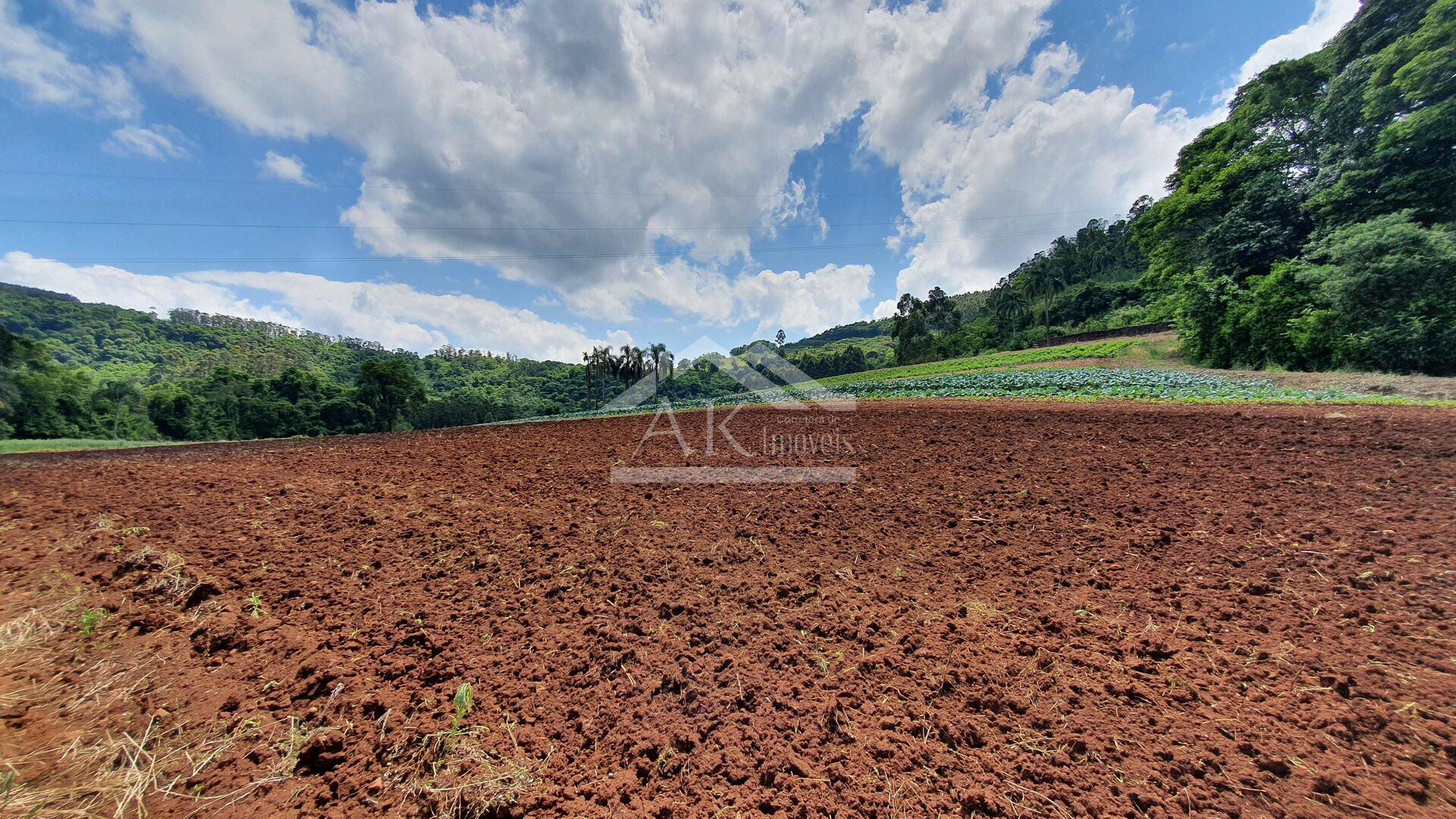 Área de terras com nascente e bela vista à venda em Linha Nova-RS