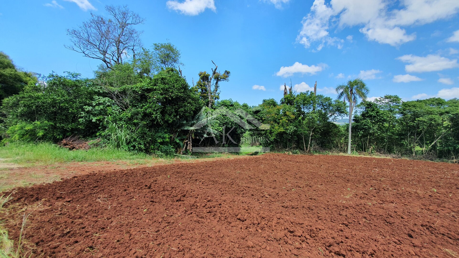 Área de terras com nascente e bela vista à venda em Linha Nova-RS