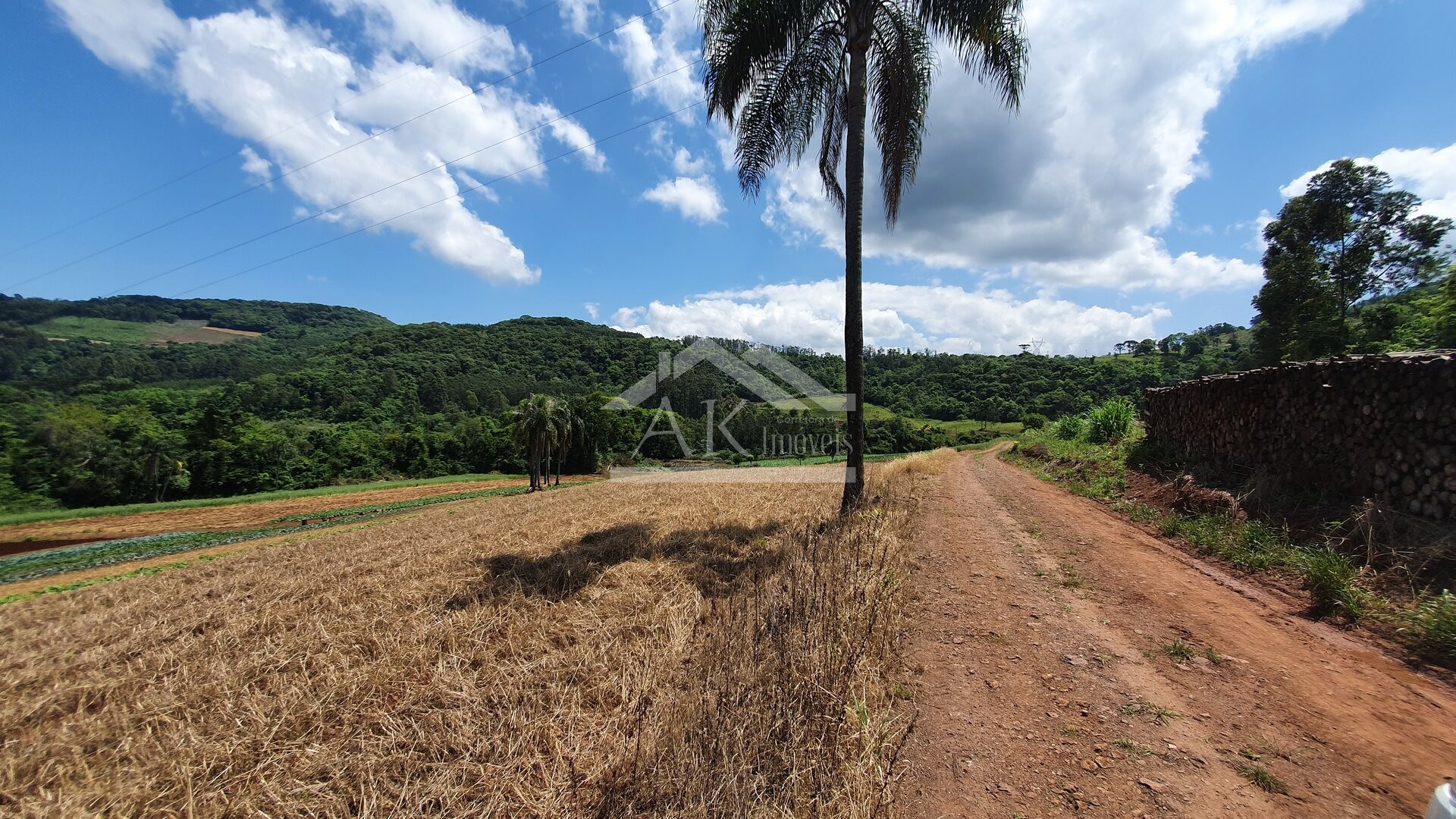 Área de terras com nascente e bela vista à venda em Linha Nova-RS