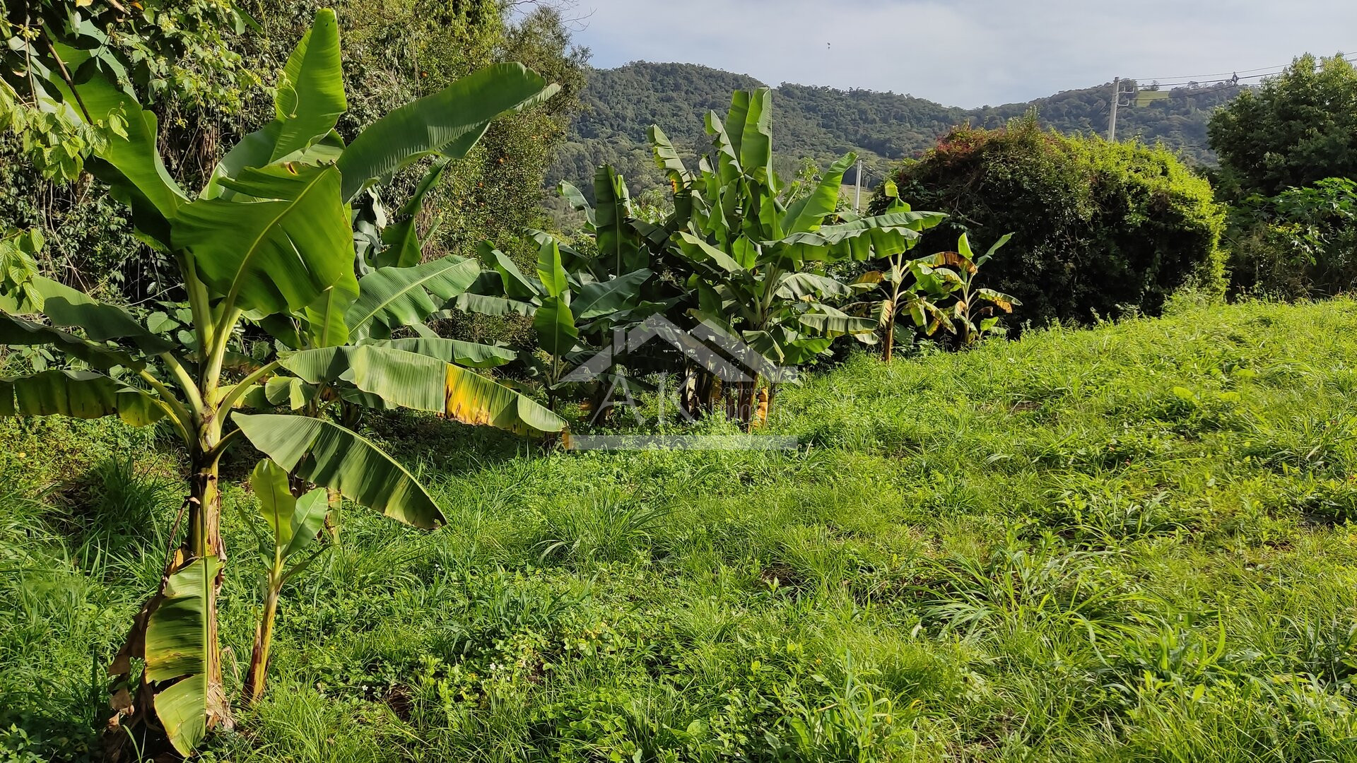 Terreno à venda no Centro de Picada Café na Serra Gaúcha